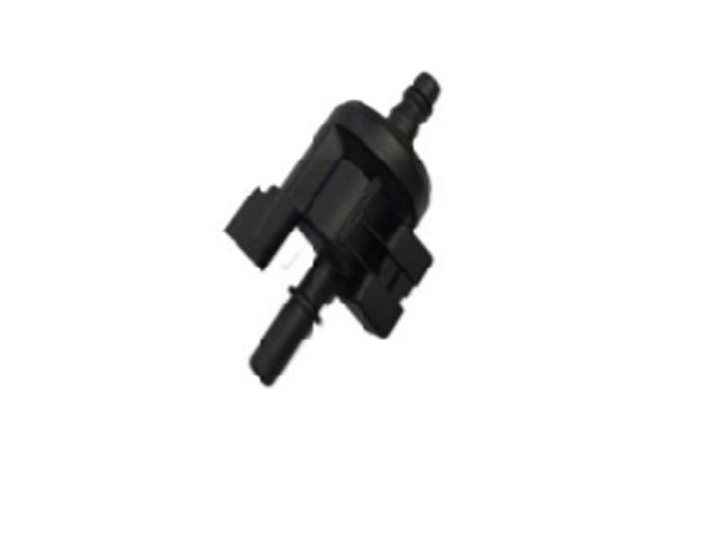 10721498 Solenoidklapp