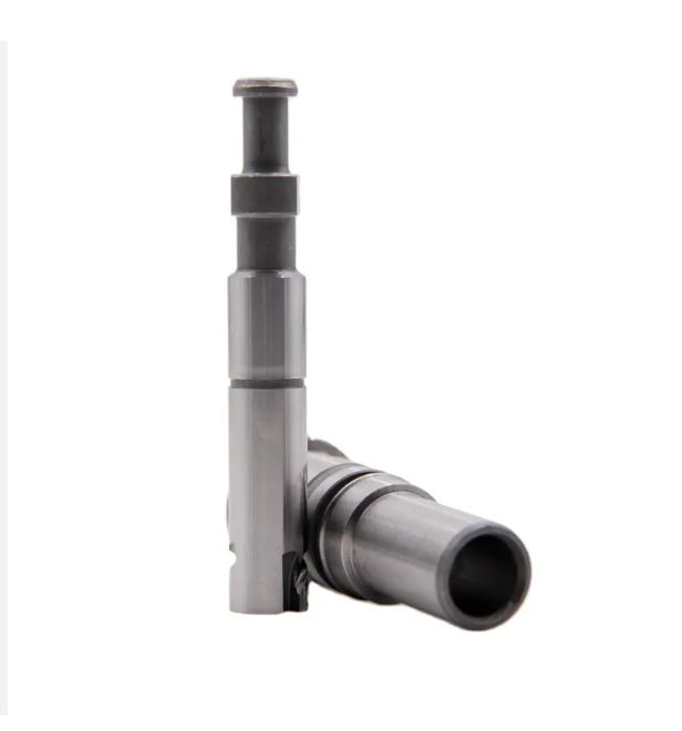 Diiselpumba kolvi element 2418455055